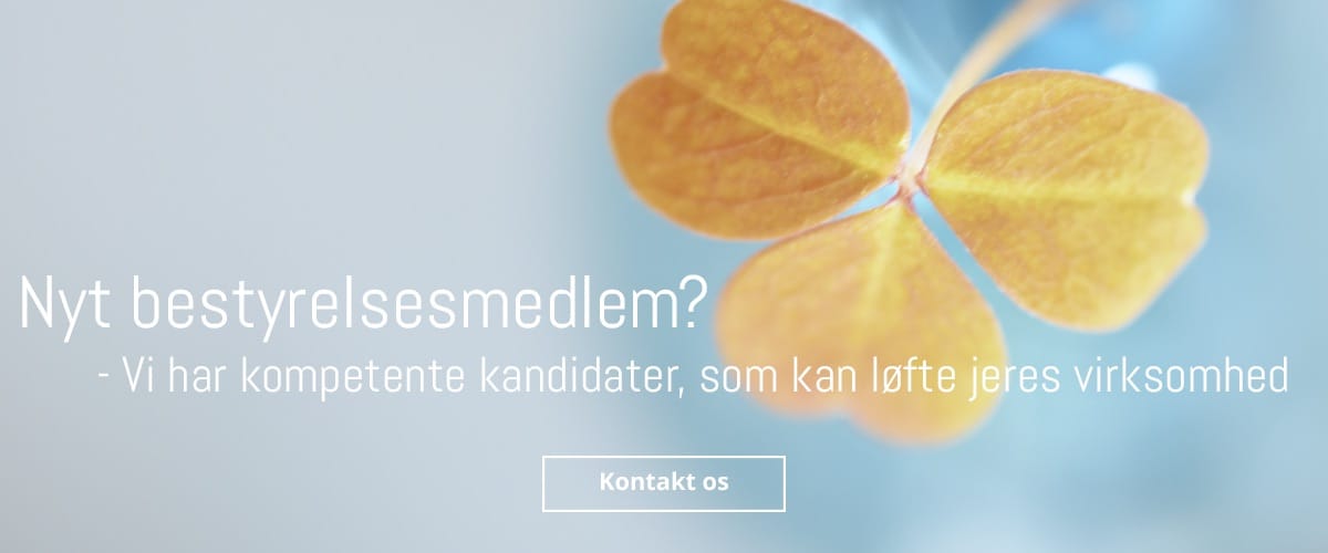 Nyt bestyrelsesmedlem? Vi har kompetente kandidater, som kan løfte jeres virksomhed. Kontakt os